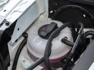 2021PRO 280TID ԄӺA 