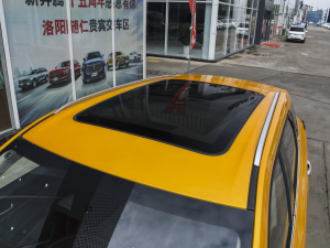 2021款PRO 280TID 自动尊贵型 车顶