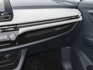 2022а 100kW 419km g