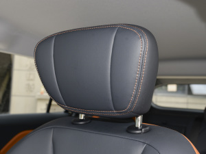 2022а 100kW 419km g