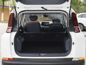 2022а 100kW 419km g