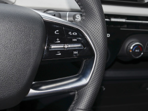 2022а 100kW 419km п؅^(q)