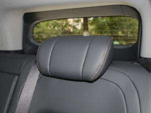 2022а 100kW 419km g