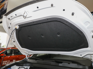 20221.5T ԄvS lәCœ