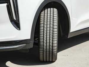 20221.5T Ԅ׿S (x)(ji)^