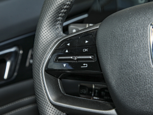 20221.5T Ԅ׿S п؅^(q)