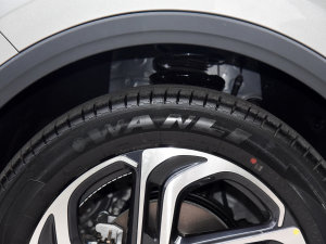 20232.0T ԄŞ ݆̥Ʒ