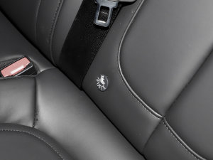 2023��1.5T DCT �Ԅ����m�� ���g����