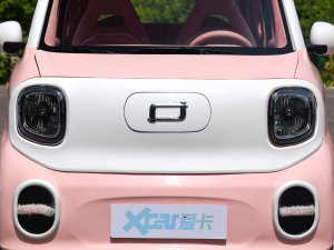 2023款公主款 中网
