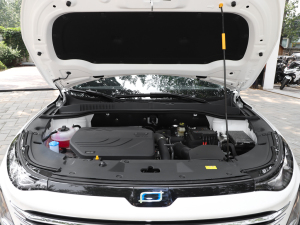2025款龙耀版 1.5T 舒享型 其它