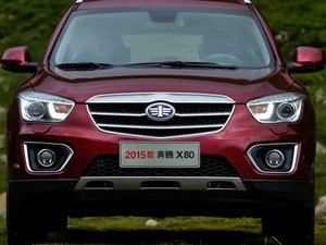 2015款1.8T 自动旗舰型 细节外观