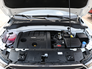 2018W(wng)t 1.6L Ԅ(dng)(lin)ǿ l(f)(dng)C(j)