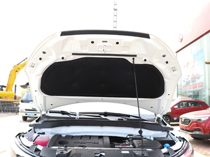 2018W(wng)t 1.6L Ԅ(dng)(lin)ǿ 