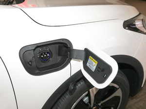 2019(lin)쐂 (ji)^