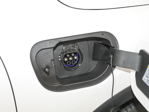 2019(lin)쐂 (ji)^