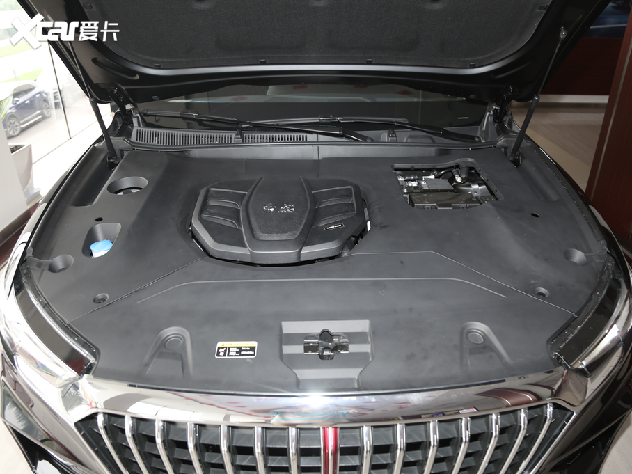 2019tHS5 2.0T (lin)