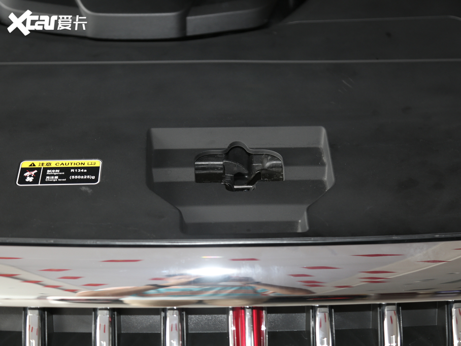 2019tHS5 2.0T (lin)