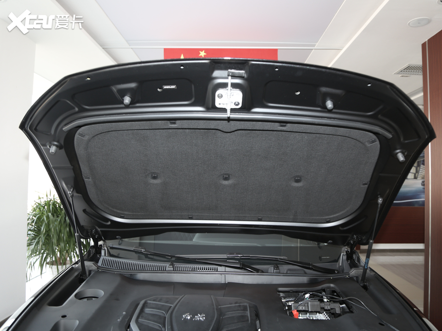 2019tHS5 2.0T (lin)(q)