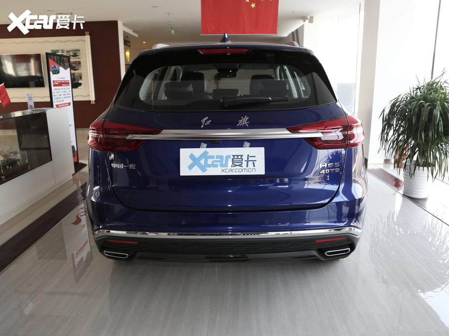 2019tHS5 2.0T (lin)