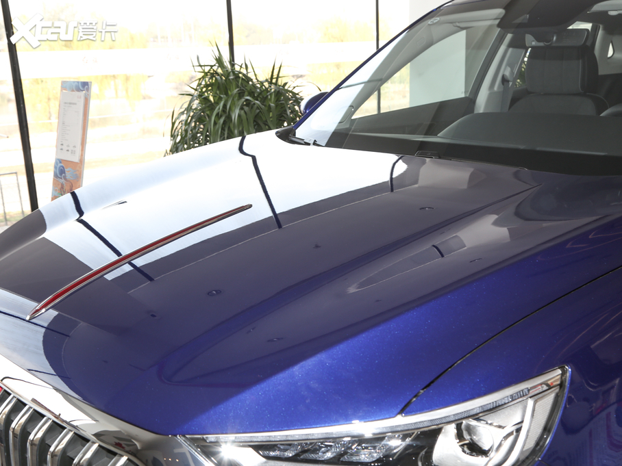 2019tHS5 2.0T (lin)