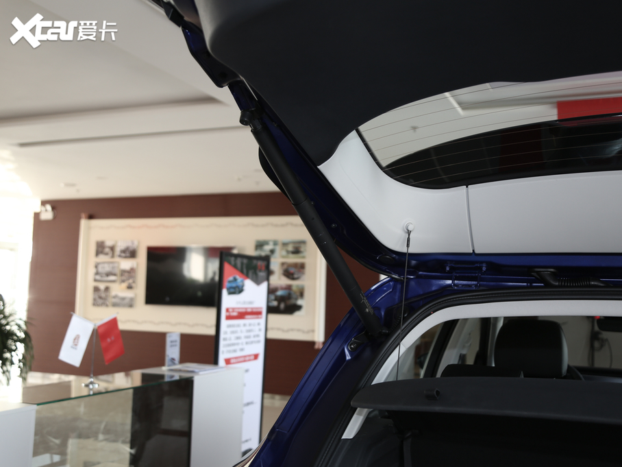 2019tHS5 2.0T (lin)