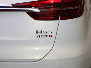 2019款2.0T 智联旗领版 细节外观
