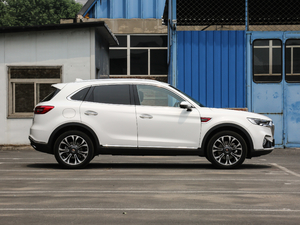 20192.0T (lin)(q) w^