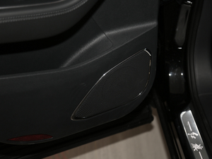 20192.0T (lin)(q) g