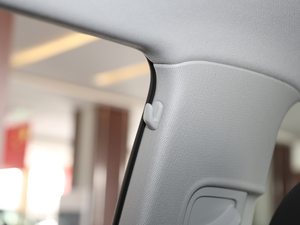 20192.0T (lin)(q) g