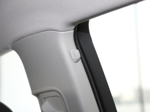 20192.0T (lin)(q) g