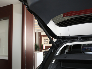 20192.0T (lin)(q) g