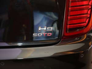 2020款3.0T 智联旗畅版 细节外观