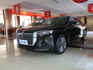 2020款2.0T 智联旗畅版 左前45度