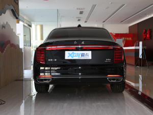 2020款2.0T 智联旗畅版 正后	
