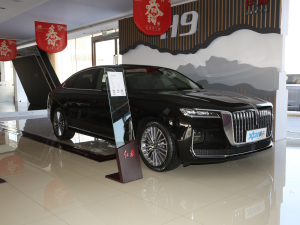 2020款2.0T 智联旗畅版 整体外观