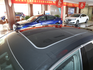 2020款2.0T 智联旗畅版 车顶