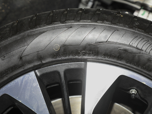 20213.0T Ԅ ݆̥ߴ