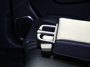 20213.0T Ԅ(q)(lin)I(lng) g