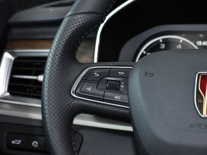 20212.0T ԄӃ(q)(lin)쐂 {(dio)(ji)