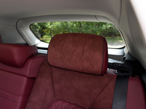 20222.0T (lin)I(q) g