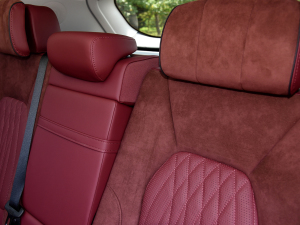 20222.0T (lin)I(q) g