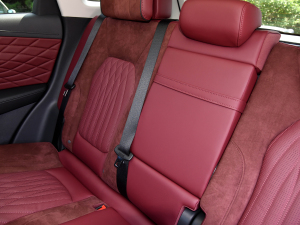 20222.0T (lin)I(q) g