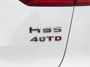 2022款2.0T 智联旗领版 细节外观