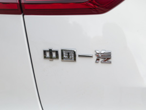 2022款2.0T 智联旗领版 细节外观