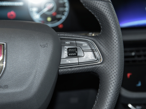 2022Ŀ 2.0T  п؅^