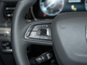 2022Ŀ 2.0T (lin) п؅^(q)