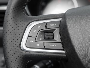 20221.5T DCT퍰 п؅^