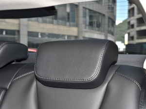 2022 1.5T DCT퍰 g