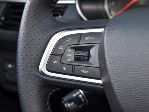 2022 1.5T DCT퍰 {