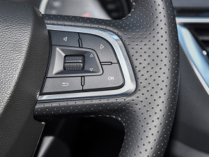 2022(jng) 1.5T DCT퍰 п؅^(q)